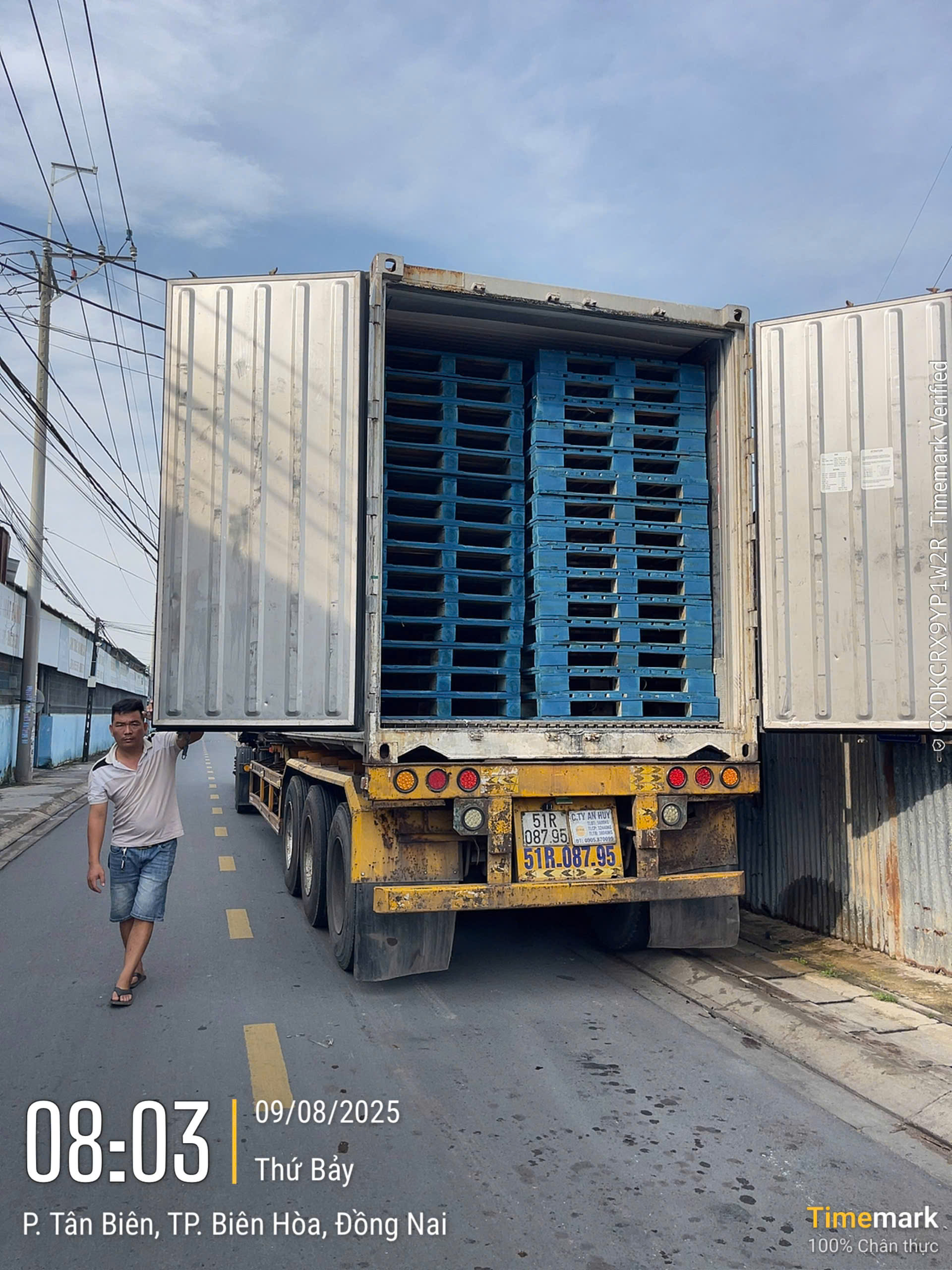 pallet gỗ tràm sử dụng trong kho lạnh